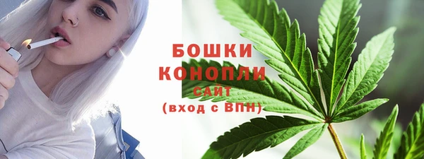 молекула духа Бронницы