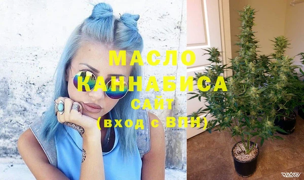 МДПВ Бородино