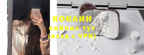 МДПВ Бородино