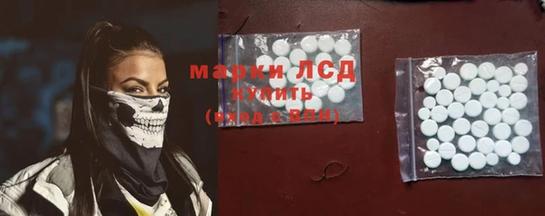 МДПВ Бородино