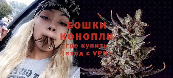 молекула духа Бронницы