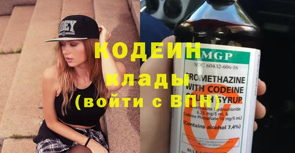МДПВ Бородино