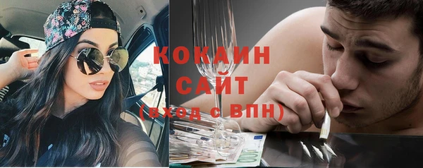 МДПВ Бородино